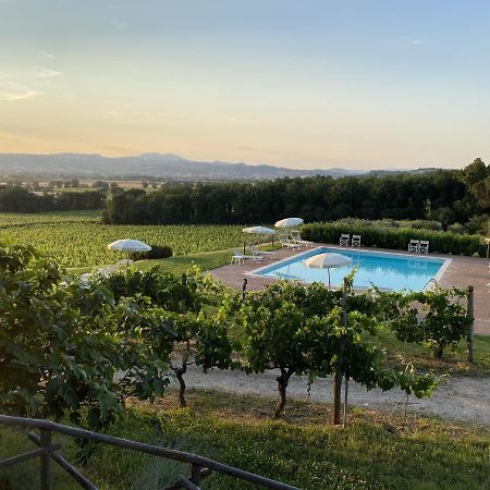 Poggio Alle Vigne Torgiano Extérieur photo