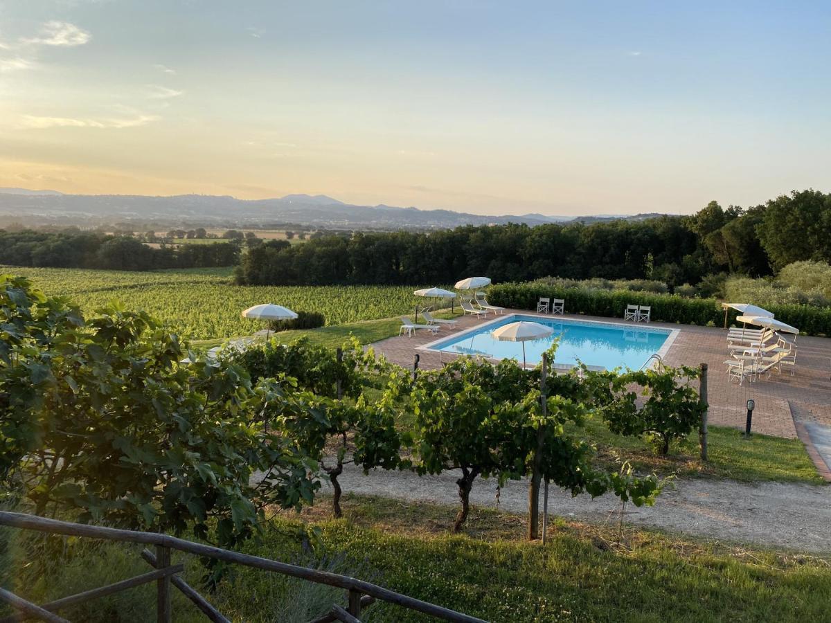 Poggio Alle Vigne Torgiano Extérieur photo