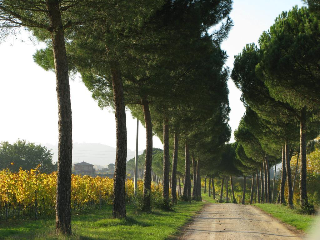 Poggio Alle Vigne Torgiano Extérieur photo