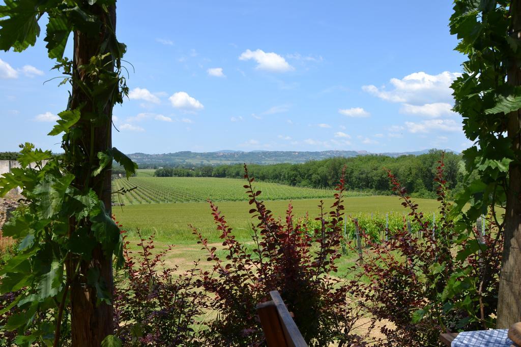 Poggio Alle Vigne Torgiano Extérieur photo